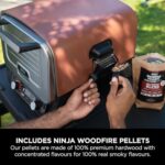 Ninja Woodfire Electric Outdoor Oven, 8-in-1 Pizza Oven, High-Heat Roaster & BBQ Smoker - Image 5