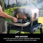 Ninja Woodfire Electric Outdoor Oven, 8-in-1 Pizza Oven, High-Heat Roaster & BBQ Smoker - Image 6