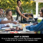 Ninja Woodfire Electric Outdoor Oven, 8-in-1 Pizza Oven, High-Heat Roaster & BBQ Smoker - Image 7