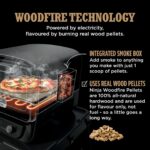 Ninja Woodfire Electric Outdoor Oven, 8-in-1 Pizza Oven, High-Heat Roaster & BBQ Smoker - Image 9