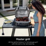 Ninja | Grill & Smoker | Outdoor Woodfire Pro XL | 4 in 1 Grill, BBQ Smoker, Air Fryer & Bake | Portable | Includes Built in Thermometer - Image 14